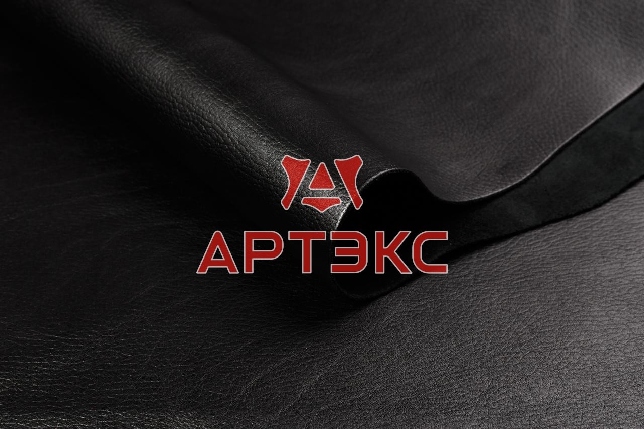 Тулип эластичный